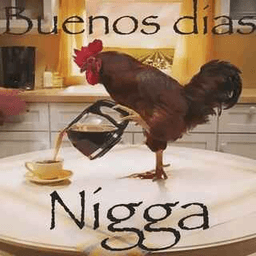 Good morning nigga 😊/memex