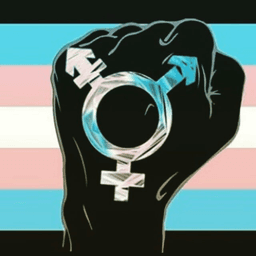 Trans Liberation