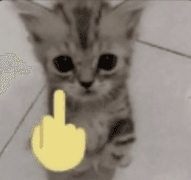 fym discord.gg/xtremis