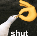 Flantic_shut