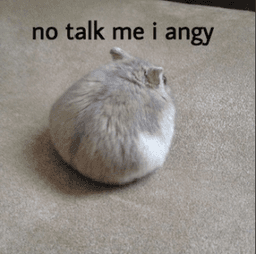 Angy .gg/hookup