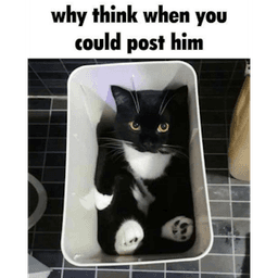 why