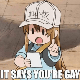 Ur_gay