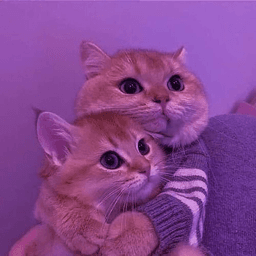 Huggies .gg/hookup