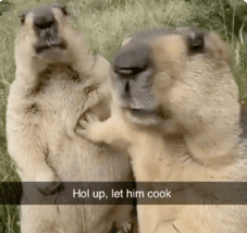let HIM coOk