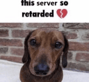 servertrippin