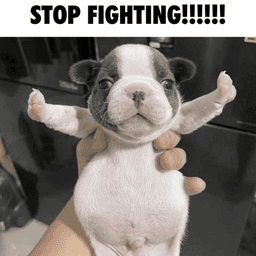 STOP FIGHTING