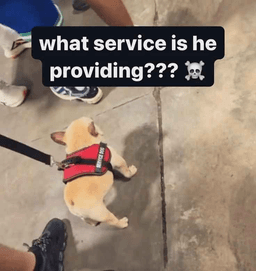 service