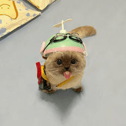 kīwawa