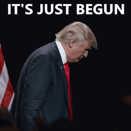 its begun /memex
