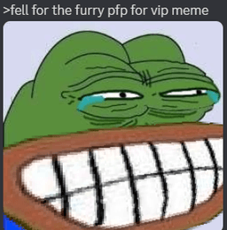 furry pfp meme