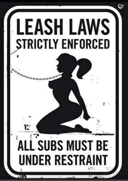 Leash