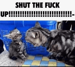 shut the fuck up