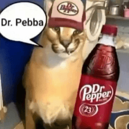 pebba fien