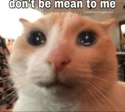don't be mean to me
