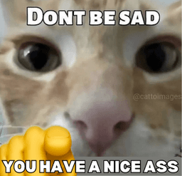nice ass