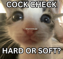 cock check