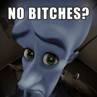 No bitches