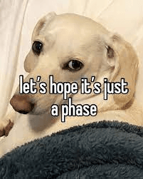hoping its a phase