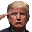 Trump salute