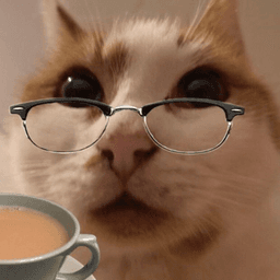 CoffeeCat