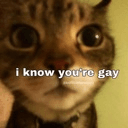 youre gay