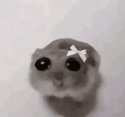 Sad hamster