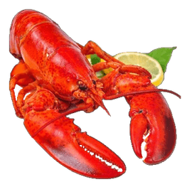 Edgy_ELobster