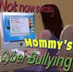 Cyber Bullying