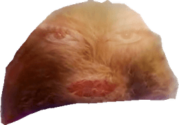 Jeżykbot