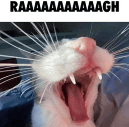RAAAAAAGH