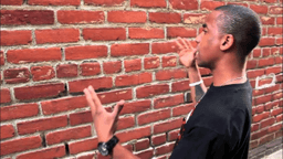 talking to a brick wall