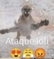 ataque loliii