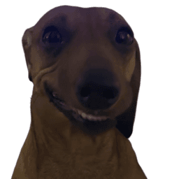 Smirk dog