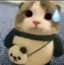 sweatingcat
