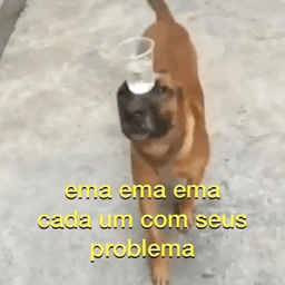 cada um com seus problema