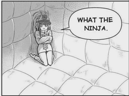 what the ninja