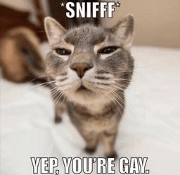 gay