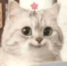 mow