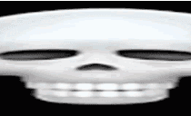 skull  /missing
