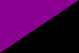 Feminist Flag