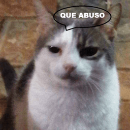 QUE ABUSO