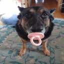 Hi