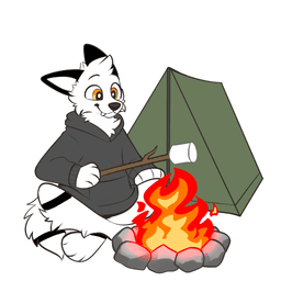 Bolt Camping