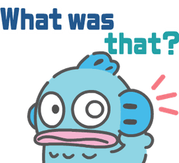 What was that?