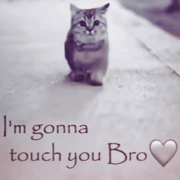 Imma touch you 