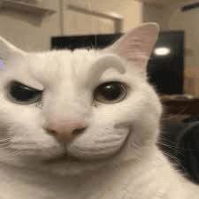 Sigma kitty