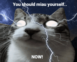 miau yourself