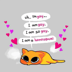 im so gay...