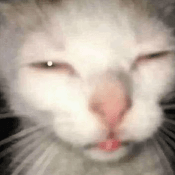Cat Just Woke Up